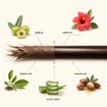 Thumbnail: One hair strand shown damaged on the left and smooth, repaired and glossy on the right, with labelled amla, hibiscus, green tea, aloe vera and argan oil actives